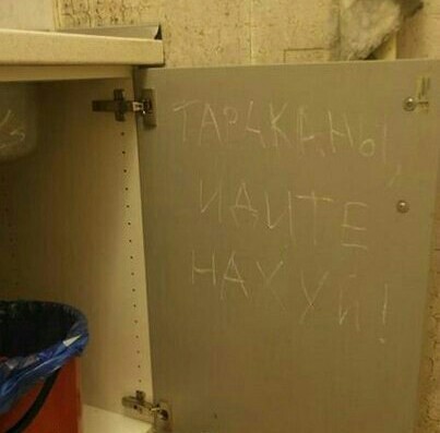Эффективное средство от комаров обнаружили в Сети — это зажимы в виде стрекоз.