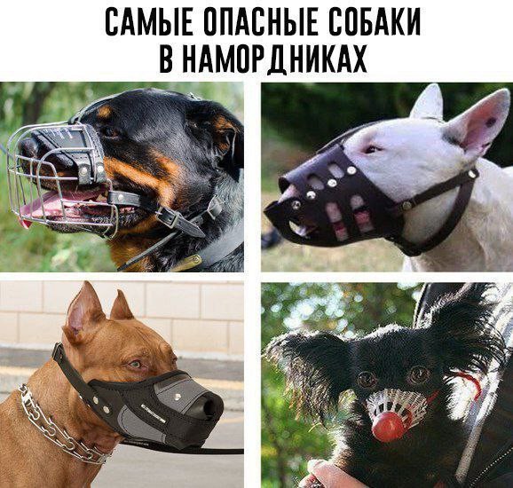 Пятница 12