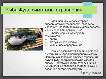 Сахалинский программист потерял память и жил в аэропорту
