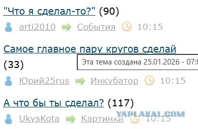 Правительственный самолёт Ирана приземлился во Внуково