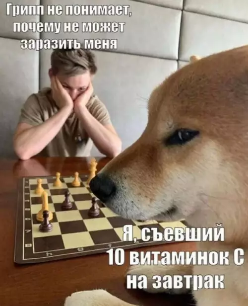 Картиночки, баянчики 16 февраля