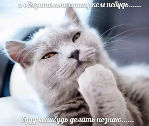 Картиночки, баянчики 13 марта