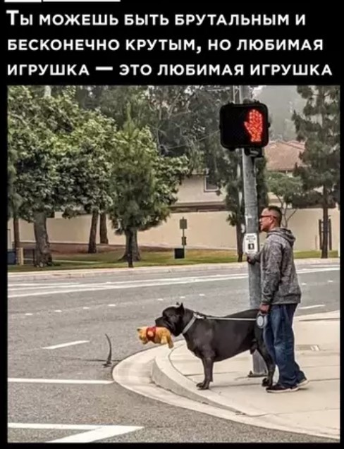 Веселые картинки в пятницу (20.03)