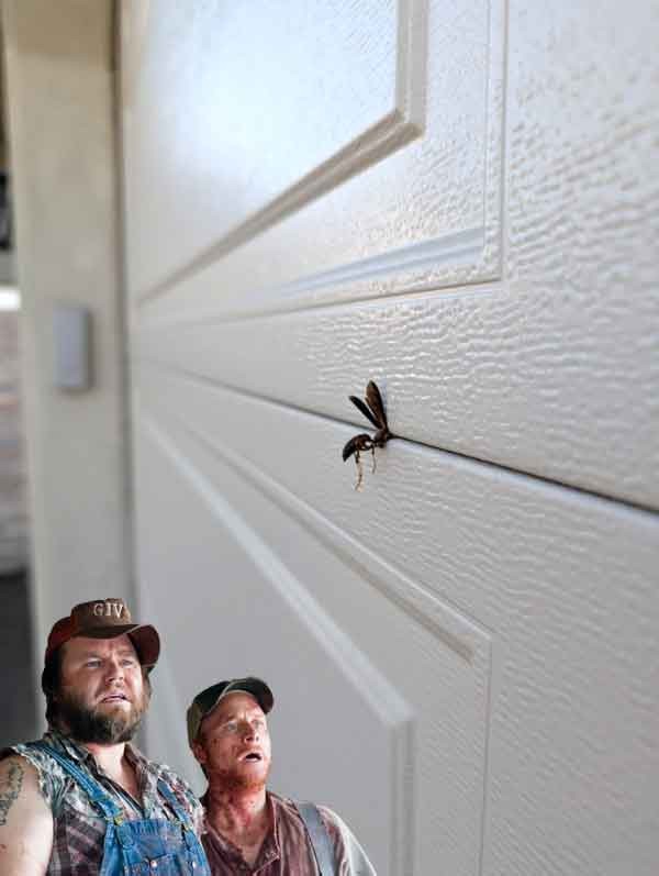 Осы: 5 пугающих видов. От маньяка-мясника до паразита в инжире