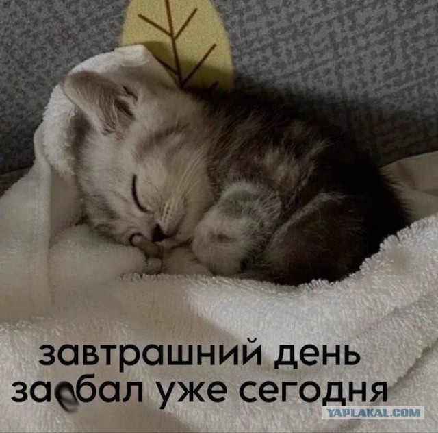 С ЛЕТОМ, камрады!