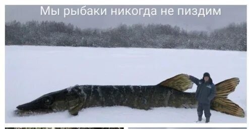 Рыбак рыбака видит издалека