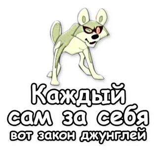 Лучше в Сомали, там безопаснее