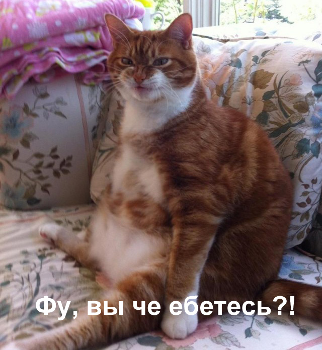 Давайте придумаем подпись к фотке=)