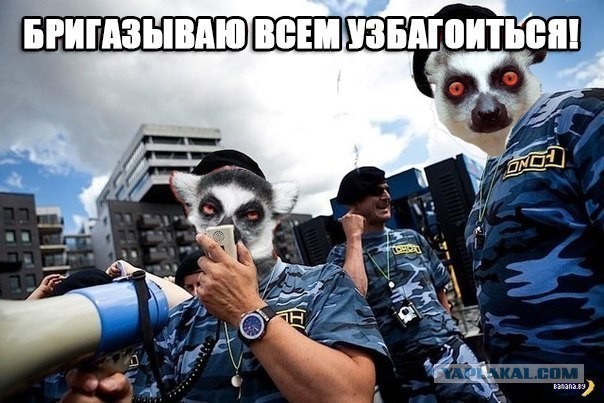 Откуда взялся узбагойся