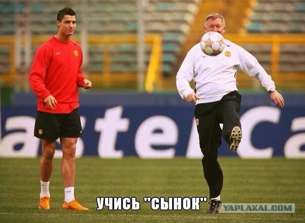 Спорт с улыбкой, интересности в сети