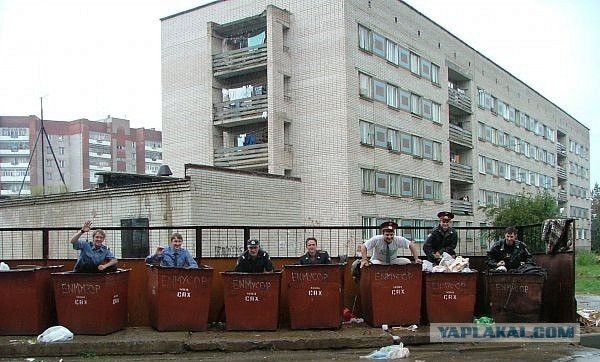 Перлы из сетей