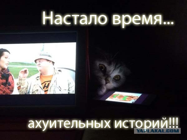 Сидел вечером, смотрел фильм