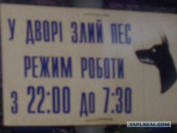 У нас ГАИ работает 26 часов в сутки!