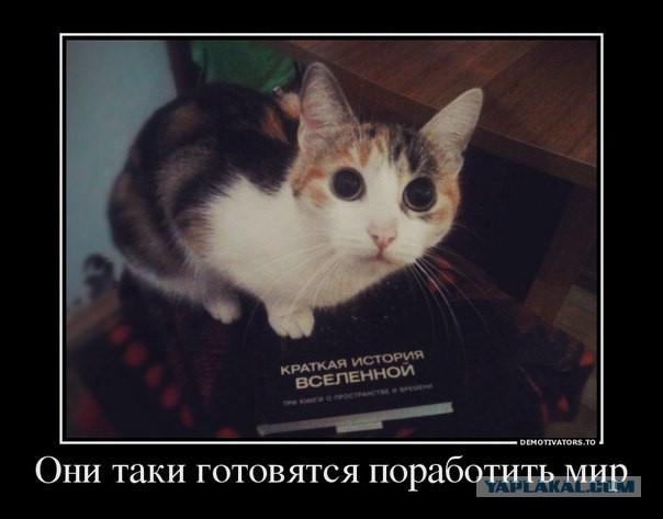 Турчинов объявил о начале военной операции