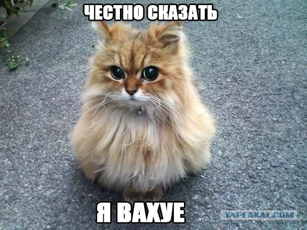 Как я сьездил в турцию...