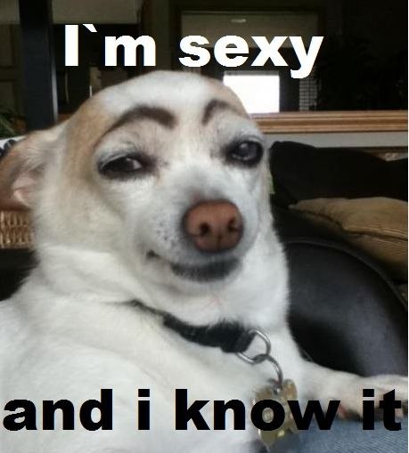 Животные ставшие знаменитыми из-за редкого окраса