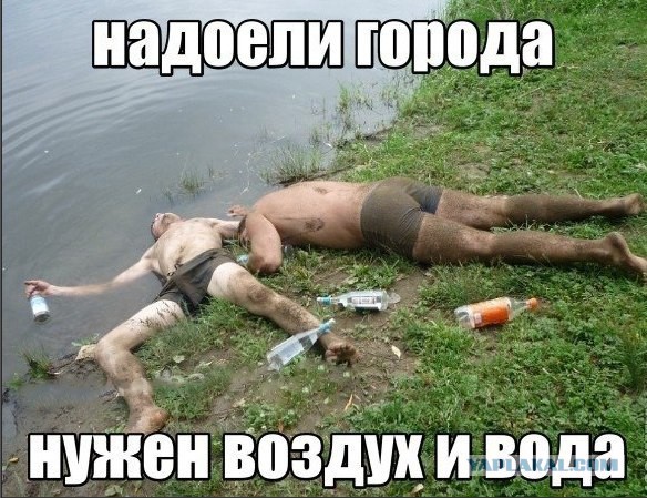 Лучший друг