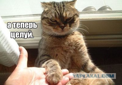 Надоел...