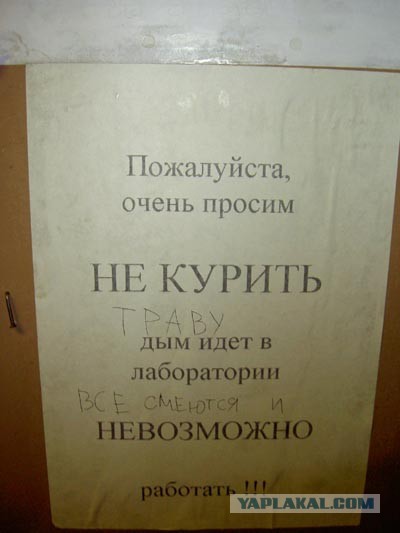 Забавные картинки из интернетов