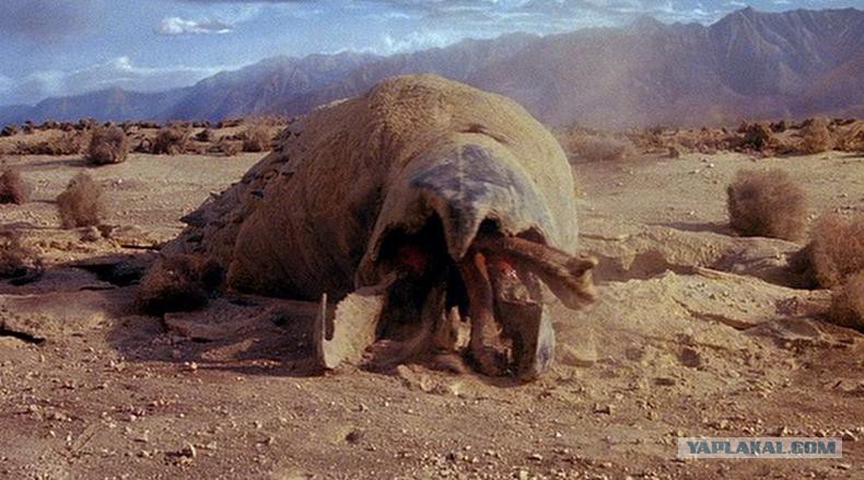 на чем крутили старое кино. Смотреть фото на чем крутили старое кино. Смотреть картинку на чем крутили старое кино. Картинка про на чем крутили старое кино. Фото на чем крутили старое кино на чем крутили старое кино. Смотреть фото на чем крутили старое кино. Смотреть картинку на чем крутили старое кино. Картинка про на чем крутили старое кино. Фото на чем крутили старое кино