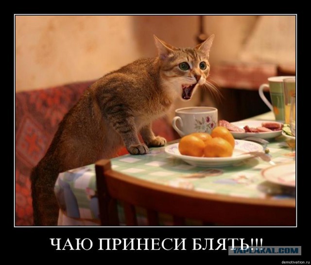 Улыбнемся в понедельник!