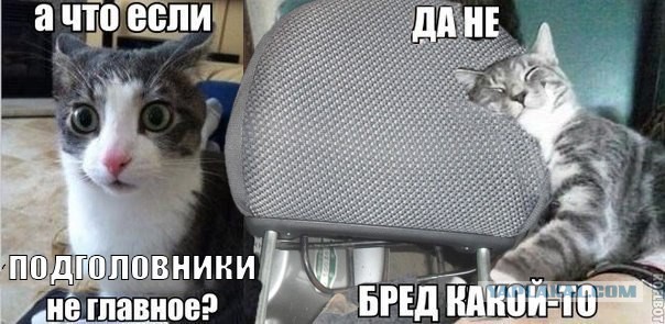 Как я машину без подголовников купил)