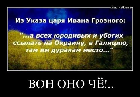 Картинки про политику