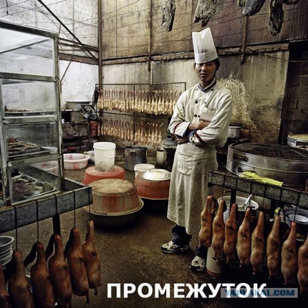 Игра букв, игра слов, бред и абсурд