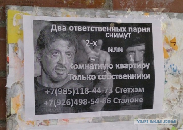 Надписи, вывески, объявления и другие буквы