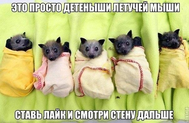 Картинки набрались разные