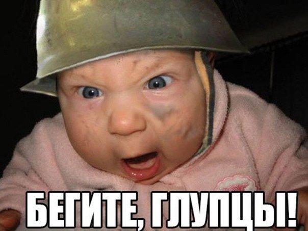 Картинки  из сети