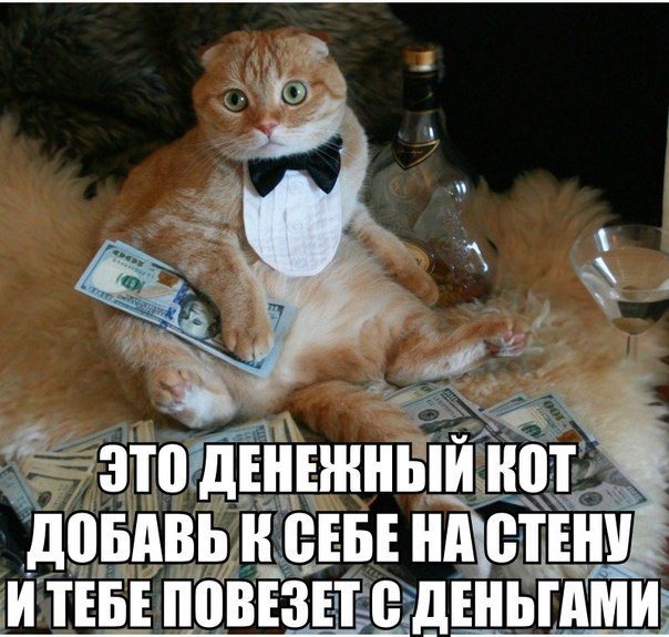 Пучок смешных картинок