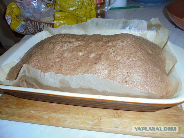 Кухня (кулинарное и околокулинарное общение)