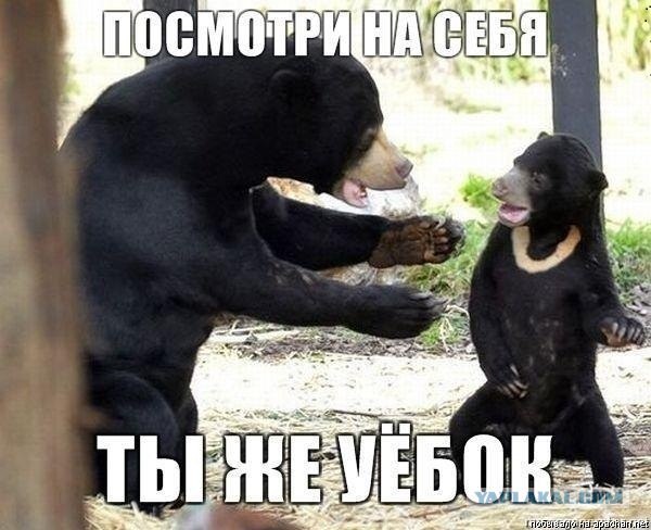 Конституцию не изучают в школе?