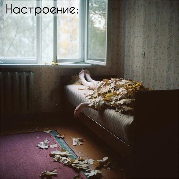 Люди, вы опять за своё?