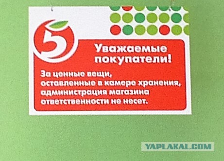 Зашла в "Пятёрочку" - 4 уголовных статьи на директоре и его заме