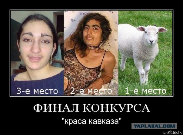 В Санкт-Петербурге сотрудники полиции разыскивают ТрахБас