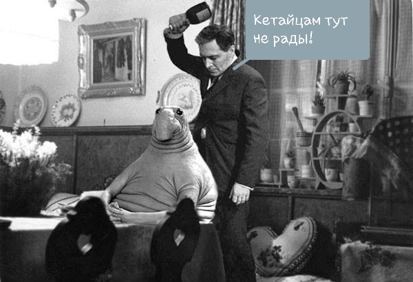 Не туда забрела