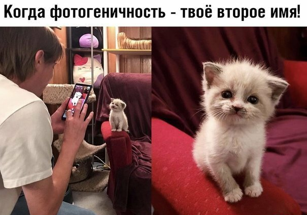 Чуток картинок 28.10.19