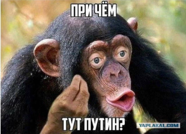 Упавшему у дверей петербургской поликлиники мужчине отказались помогать врачи