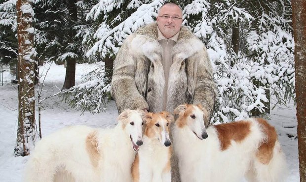 В Совфеде рассказали об ответственности за подделку COVID-сертификата