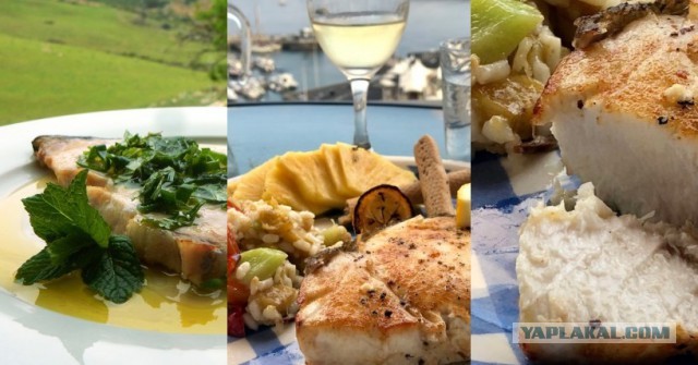 Кулинарная общалка