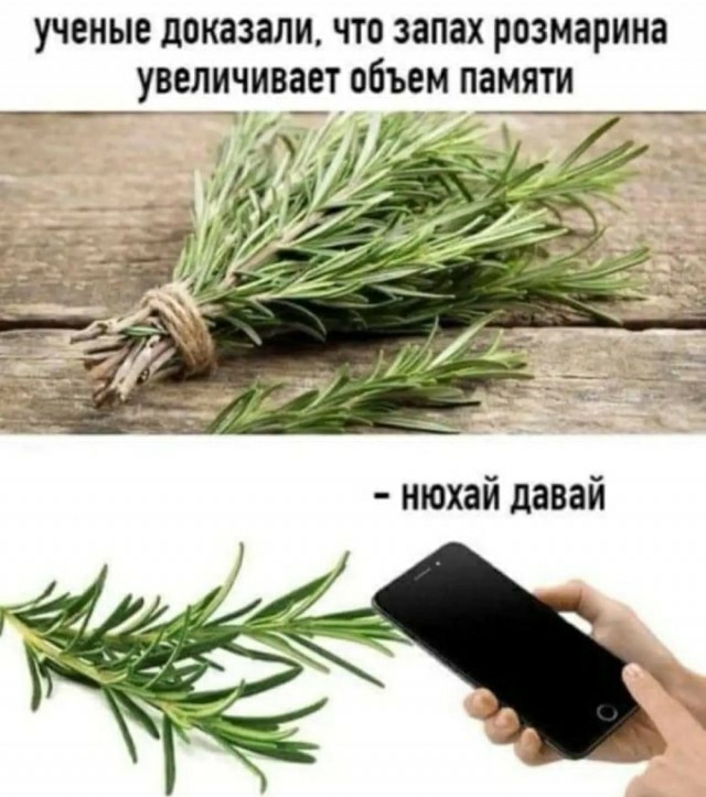 Весёлый полтишок 11.11