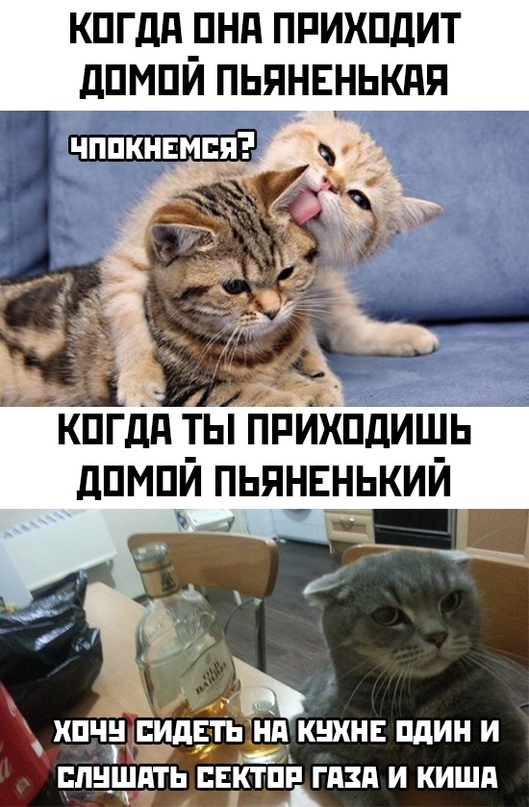 Суббота. И немного слегка пошлых картинок с надписями и без 16+ (05.03)