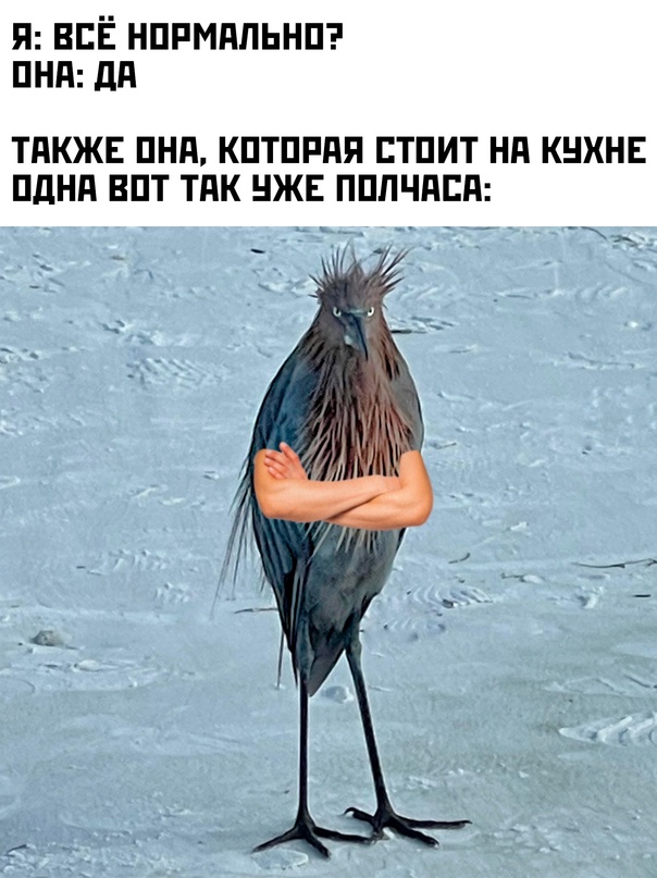 Картинки и мемы для настроения - 119