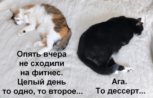 Никакие картинки