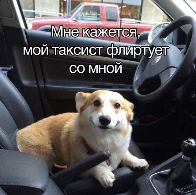 Завалялось тут случайно немного забавных картинок
