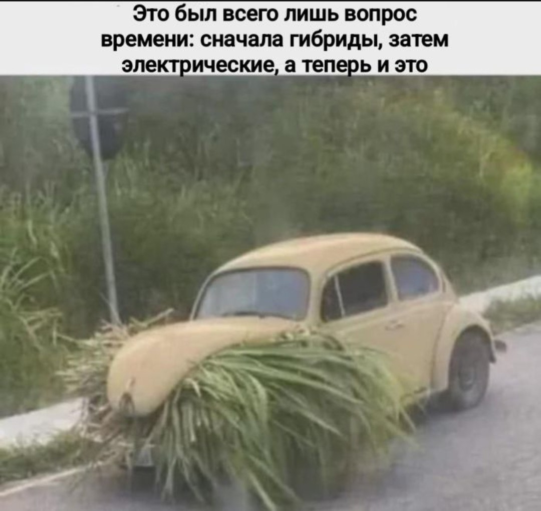 20200133.jpg