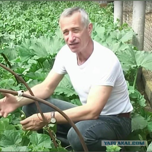 О чём поют ABBA