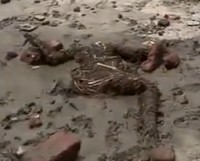 Немного Индии